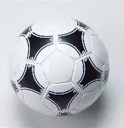 苗立杰退役,十年篮球情,未了,竞技宝官网网址,竞技宝网页入口,竞技宝网页地址,竞技宝app下载